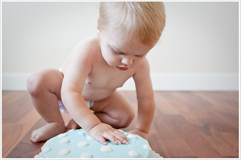 Cake Smash Session: The Inspection