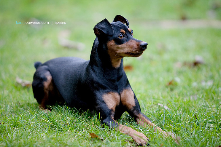 South Surrey Baby Photographer