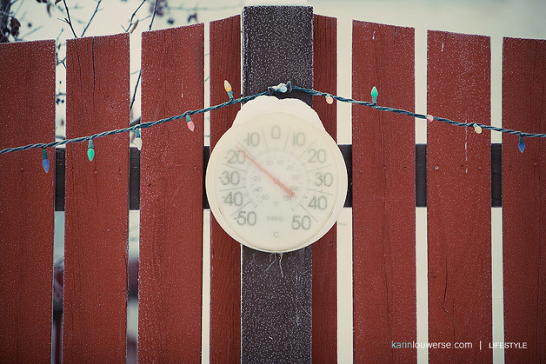 Edmonton Family Photographer