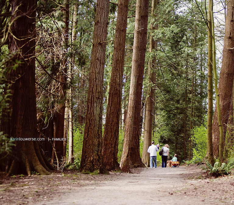 South Surrey Photographer
