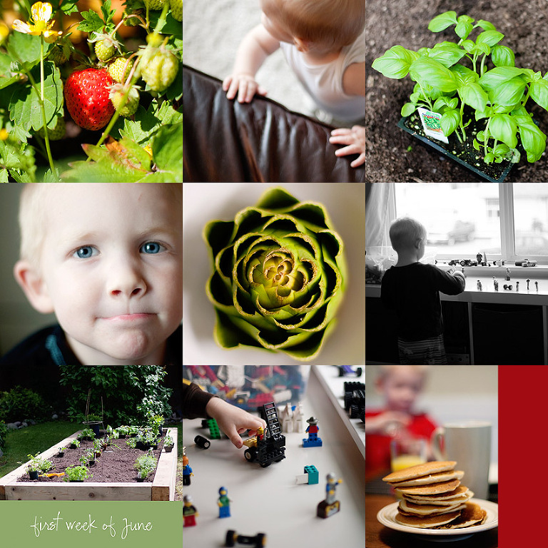 Aldergrove Family Photographer