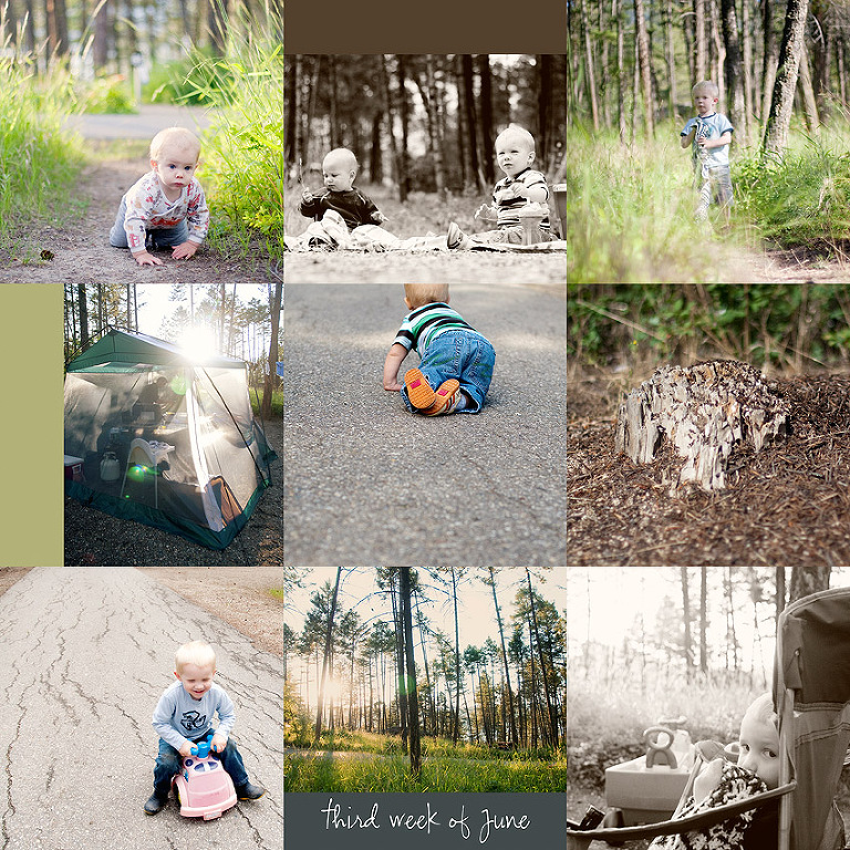 Aldergrove Family Photographer