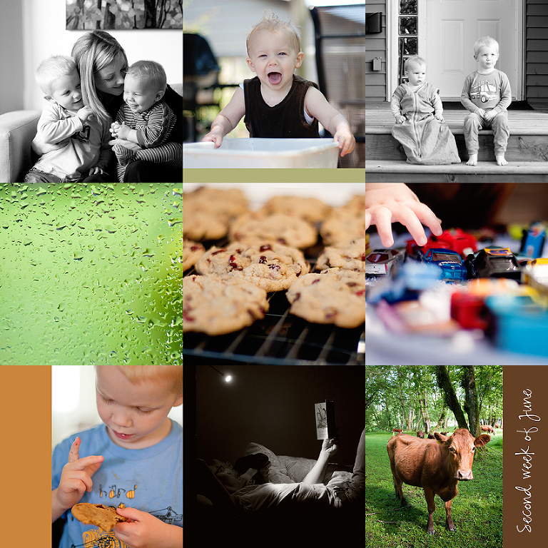 Aldergrove Family Photographer