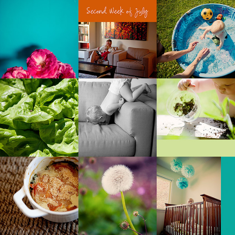 Aldergrove Family Photographer