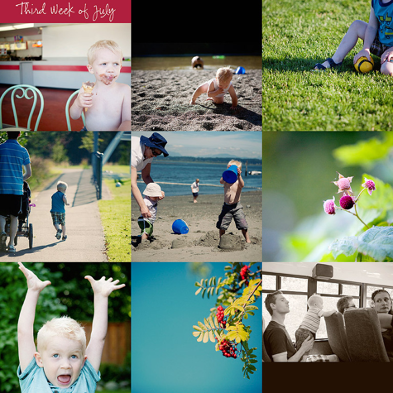 Aldergrove Family Photographer