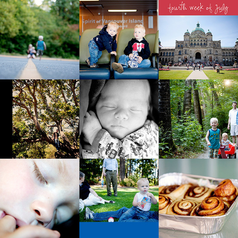 Aldergrove Family Photographer