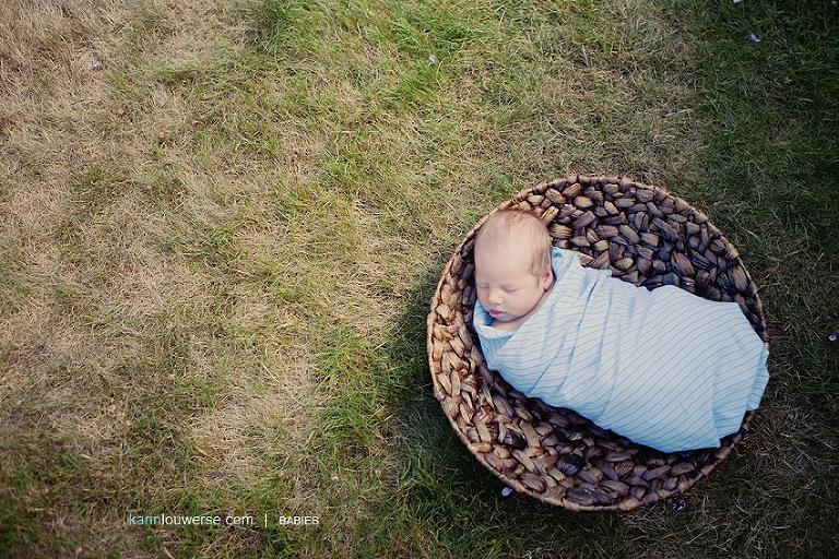 Abbotsford Baby Photographer