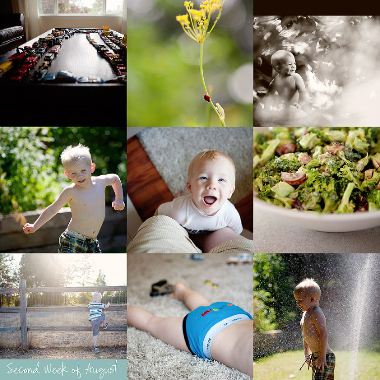 Aldergrove Family Photographer