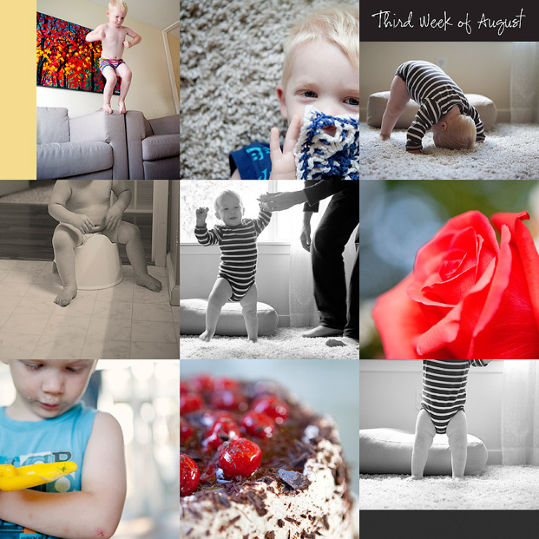 Aldergrove Family Photographer