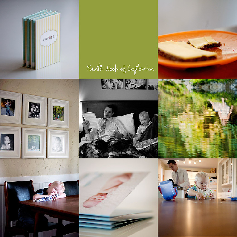 Aldergrove Family Photographer