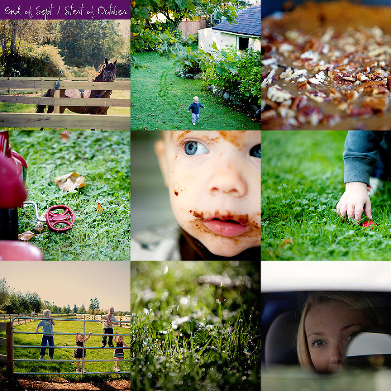 Aldergrove Family Photographer