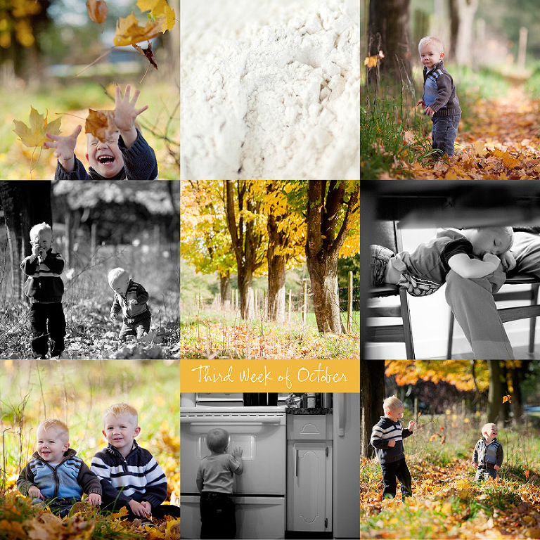 Langley Family Photographer