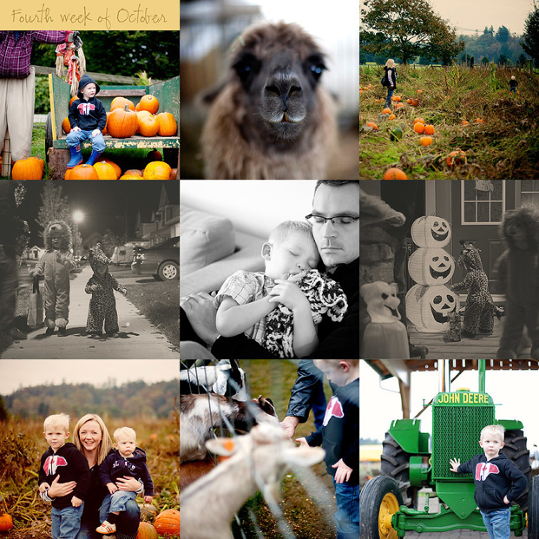 Langley Family Photographer