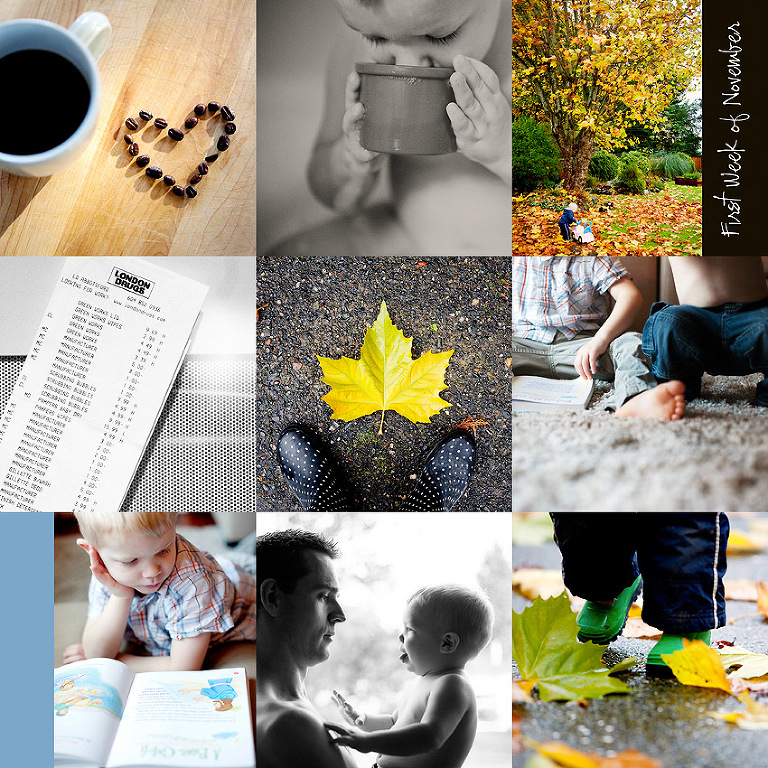 Langley Family Photographer