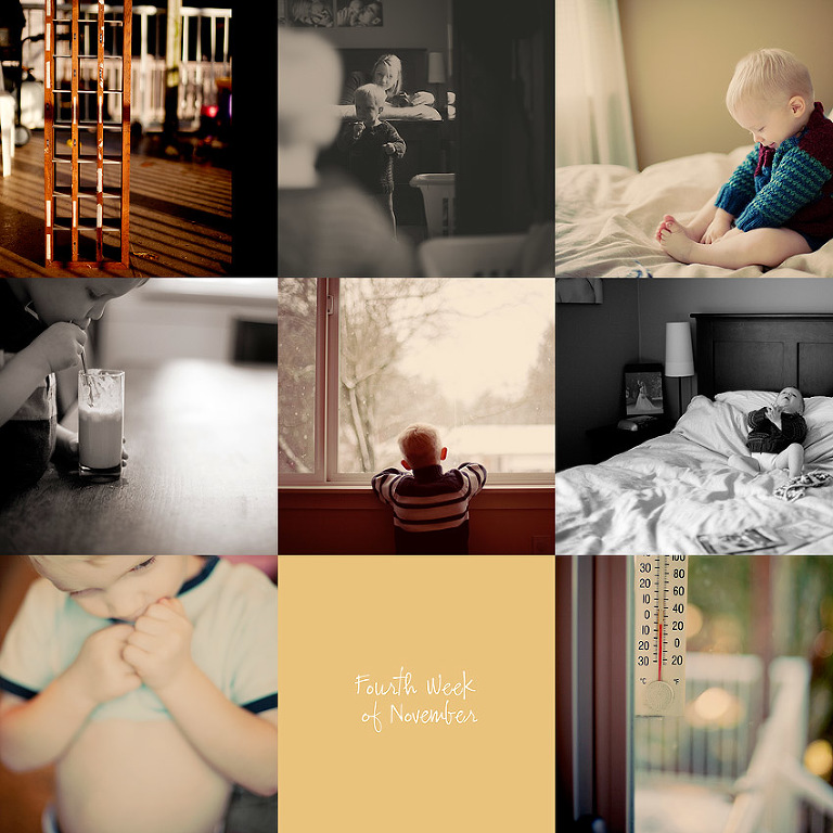 Langley Family Photographer