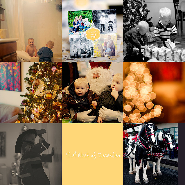 Aldergrove Family Photographer