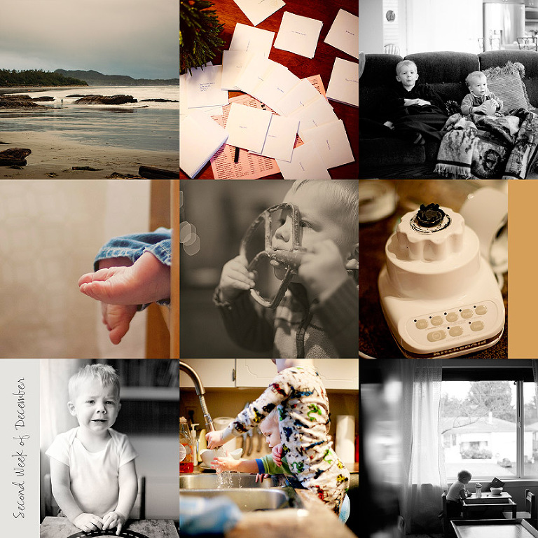 Aldergrove Family Photographer