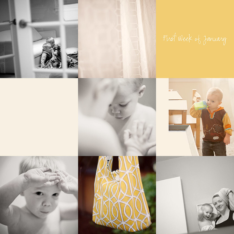 Aldergrove Family Photographer