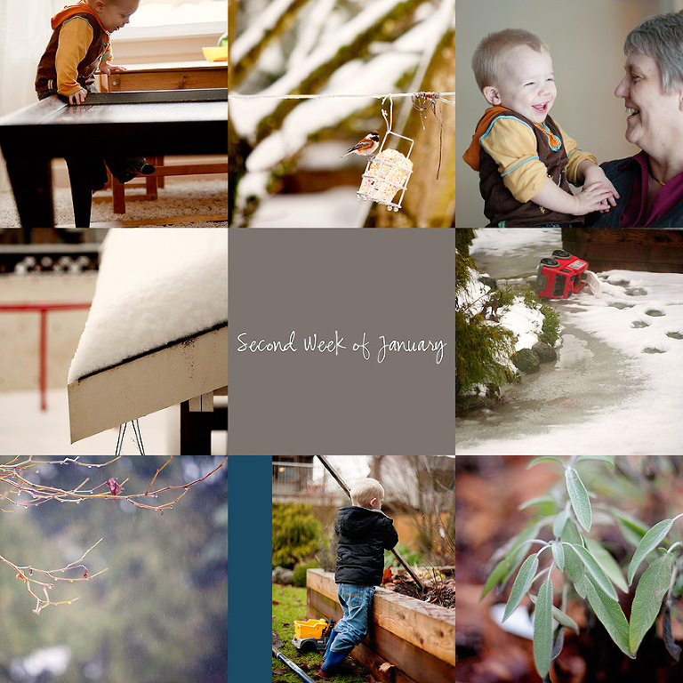 Aldergrove Family Photographer