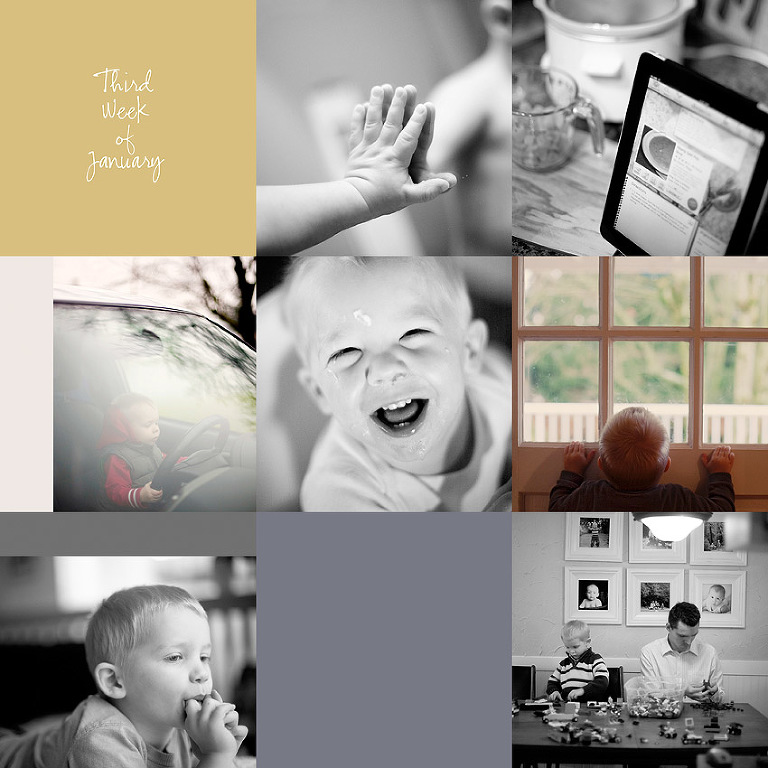 Aldergrove Family Photographer