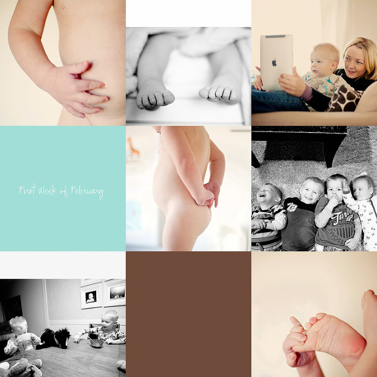Aldergrove Family Photographer