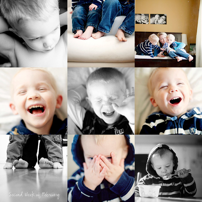 52 week photo project