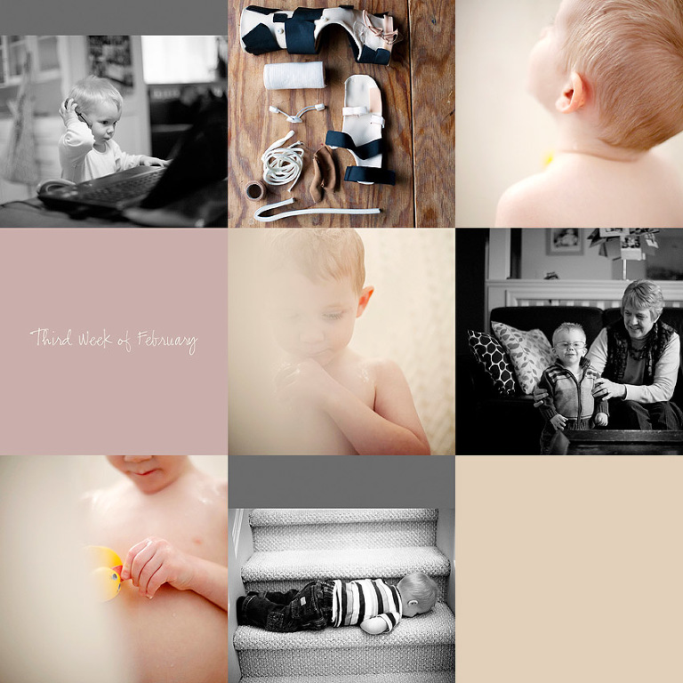 Aldergrove Family Photographer