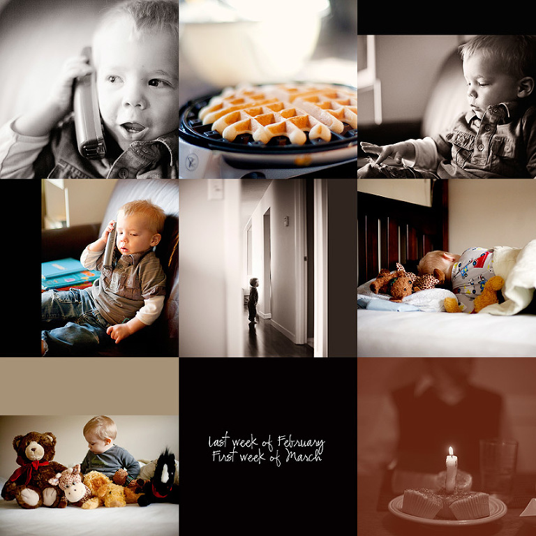 Aldergrove Family Photographer