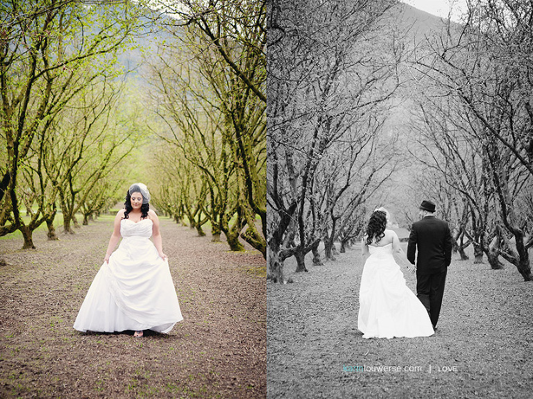 Abbotsford Wedding Photographer