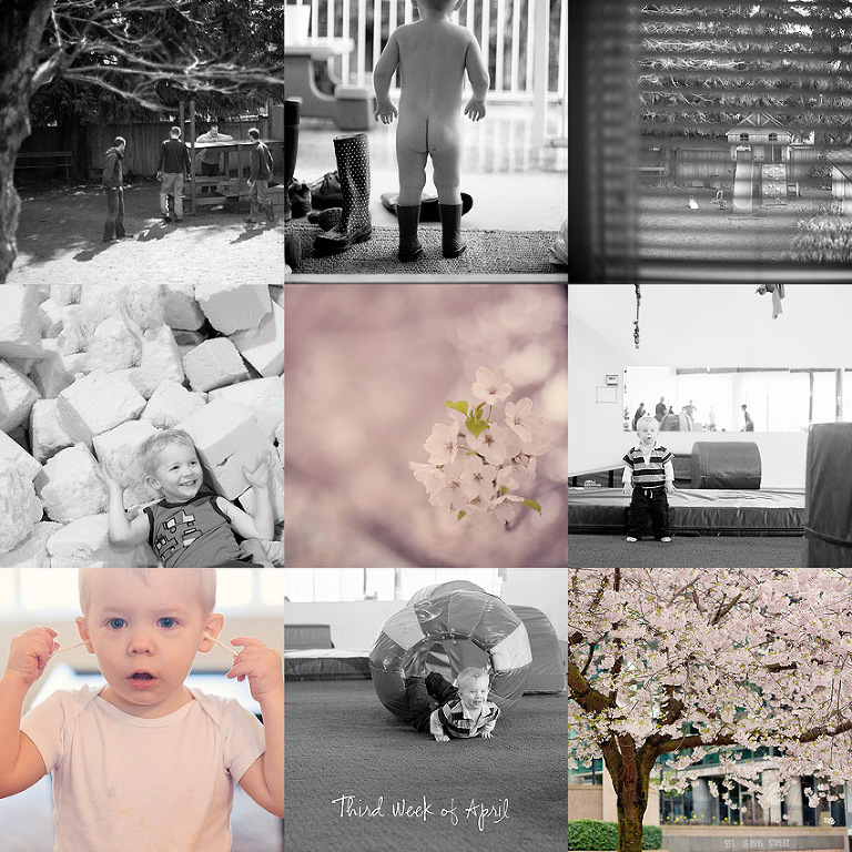 Aldergrove Family Photographer