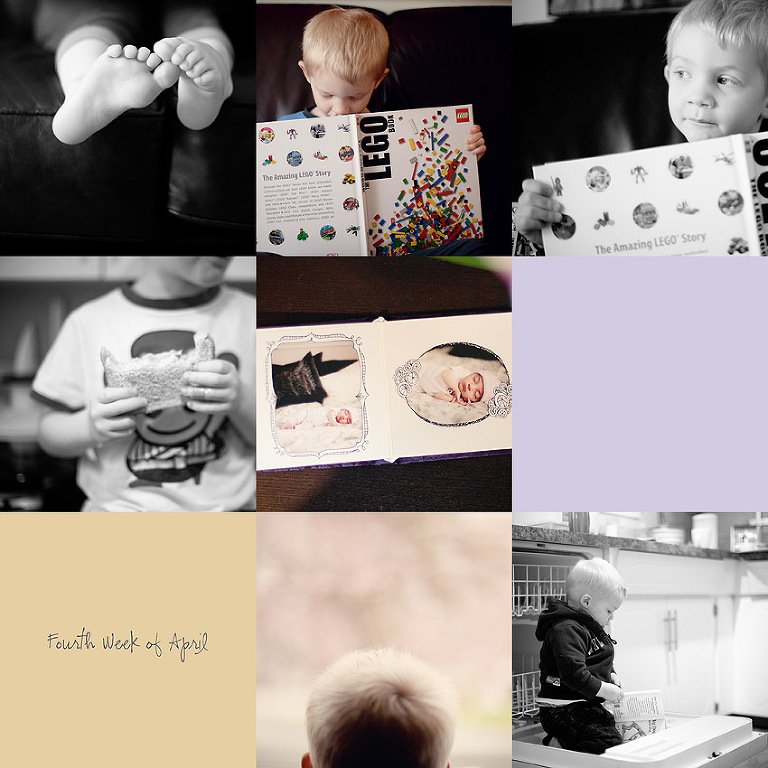 Aldergrove Family Photographer