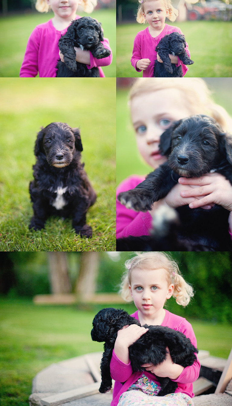 Langley Puppy Photographer