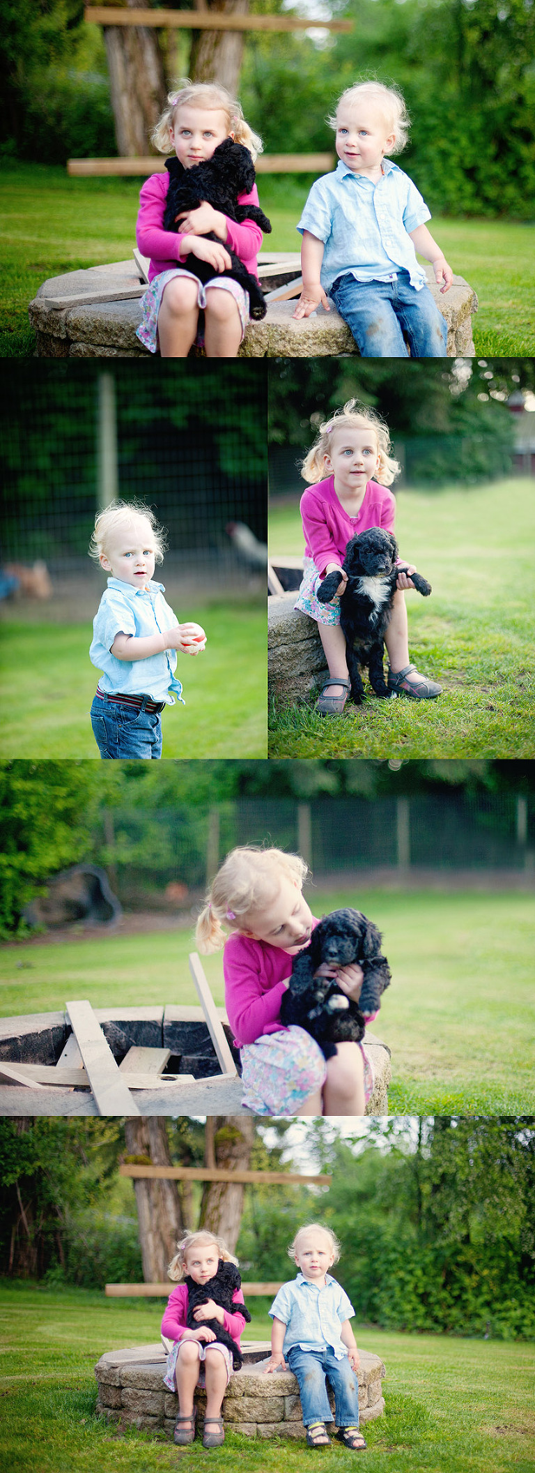 Langley Puppy Photographer