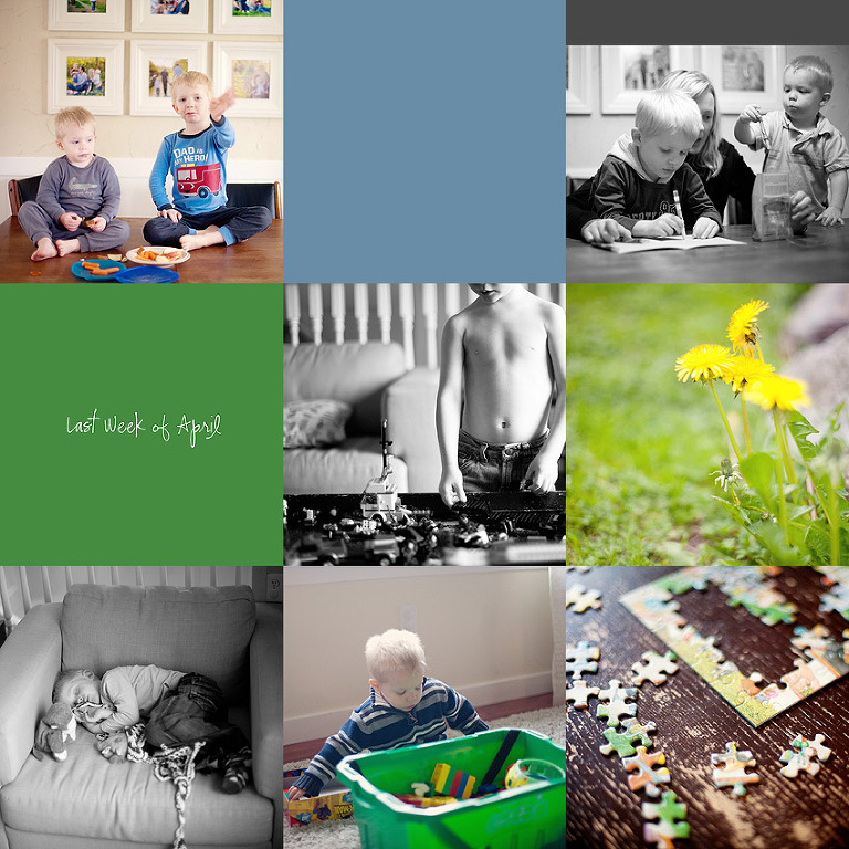 Aldergrove Family Photographer