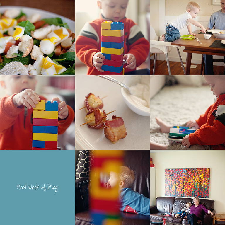 Aldergrove Family Photographer