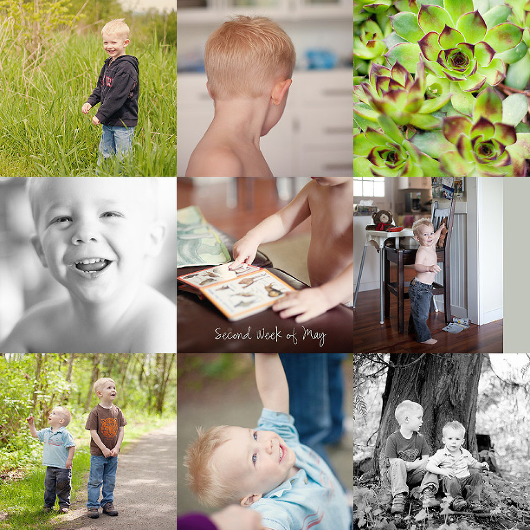 Aldergrove Family Photographer