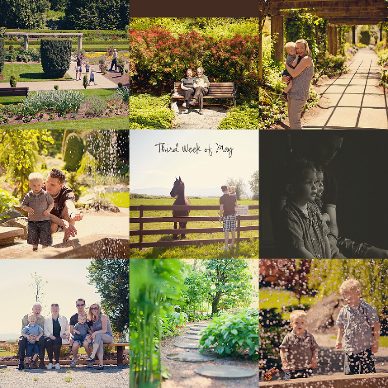 Aldergrove Family Photographer Personal Project 52 weeks