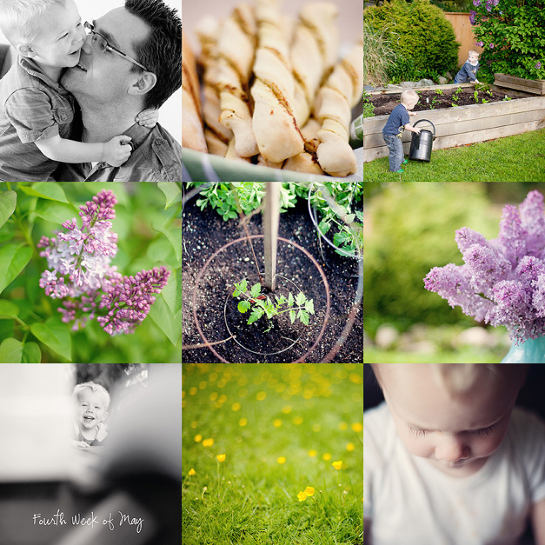 Aldergrove Family Photographer