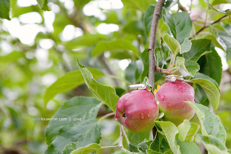 Surrey Wedding Photographer